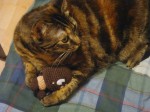 Goomba Being Squished by awesome Kitty! Goomba Being Squished by awesome Kitty!